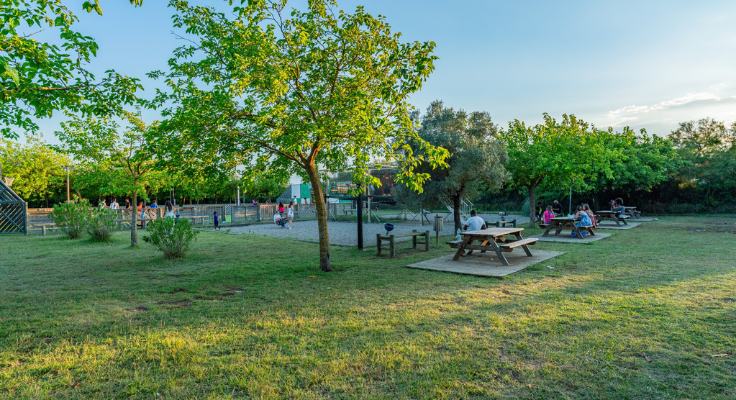 activités, camping la palmeraie